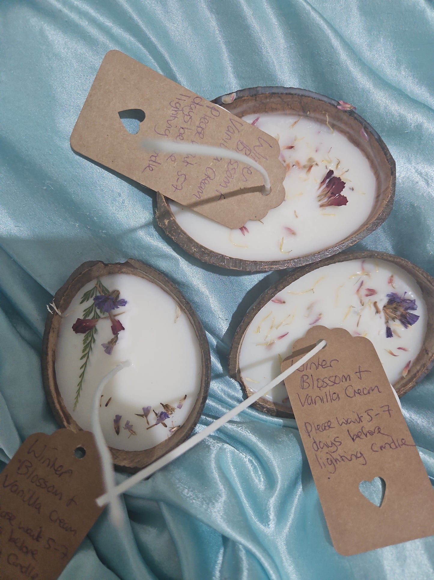 Winter Blossom & Vanilla Cream