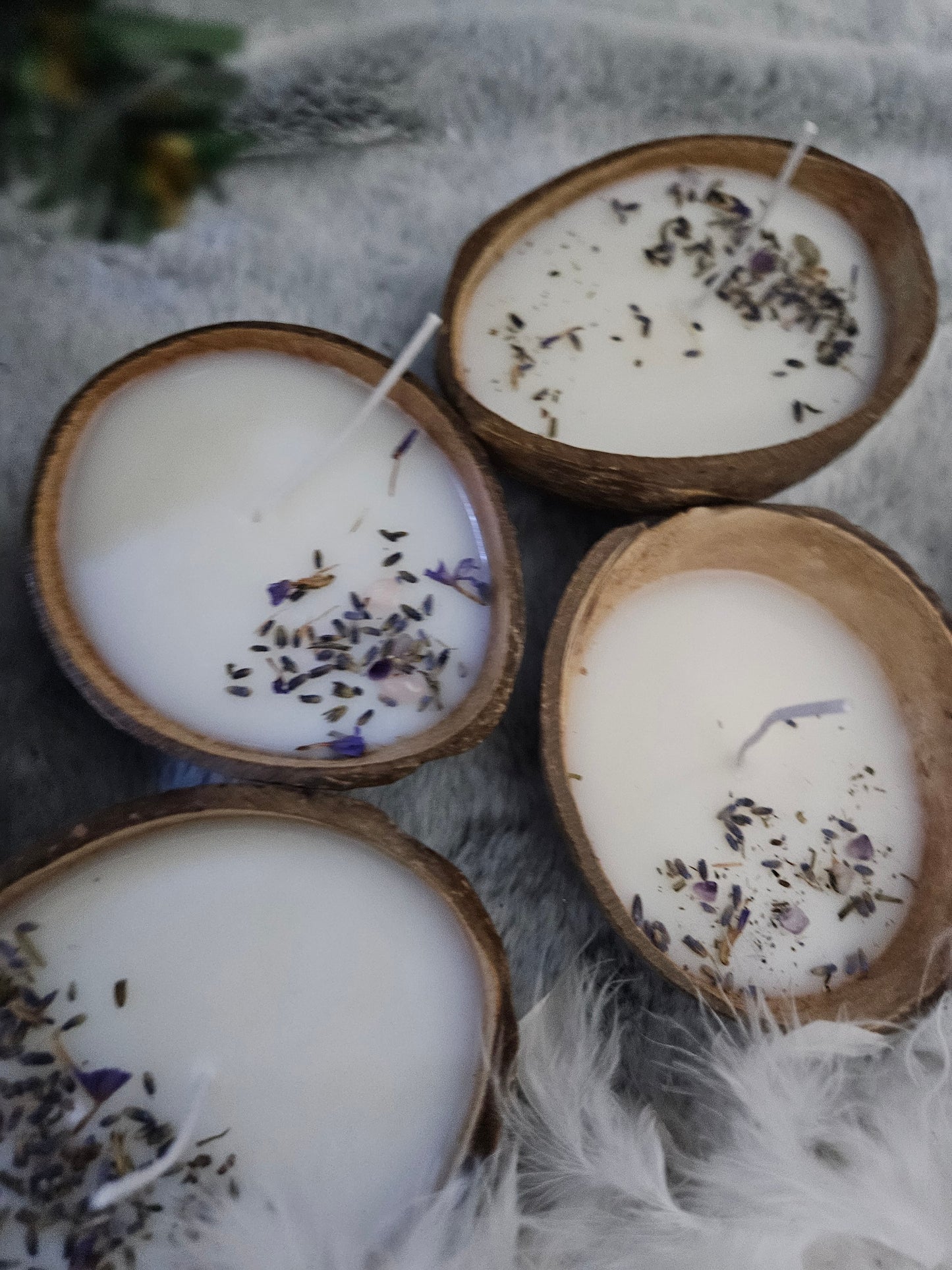 Lavender and Whipped Shea scented candle